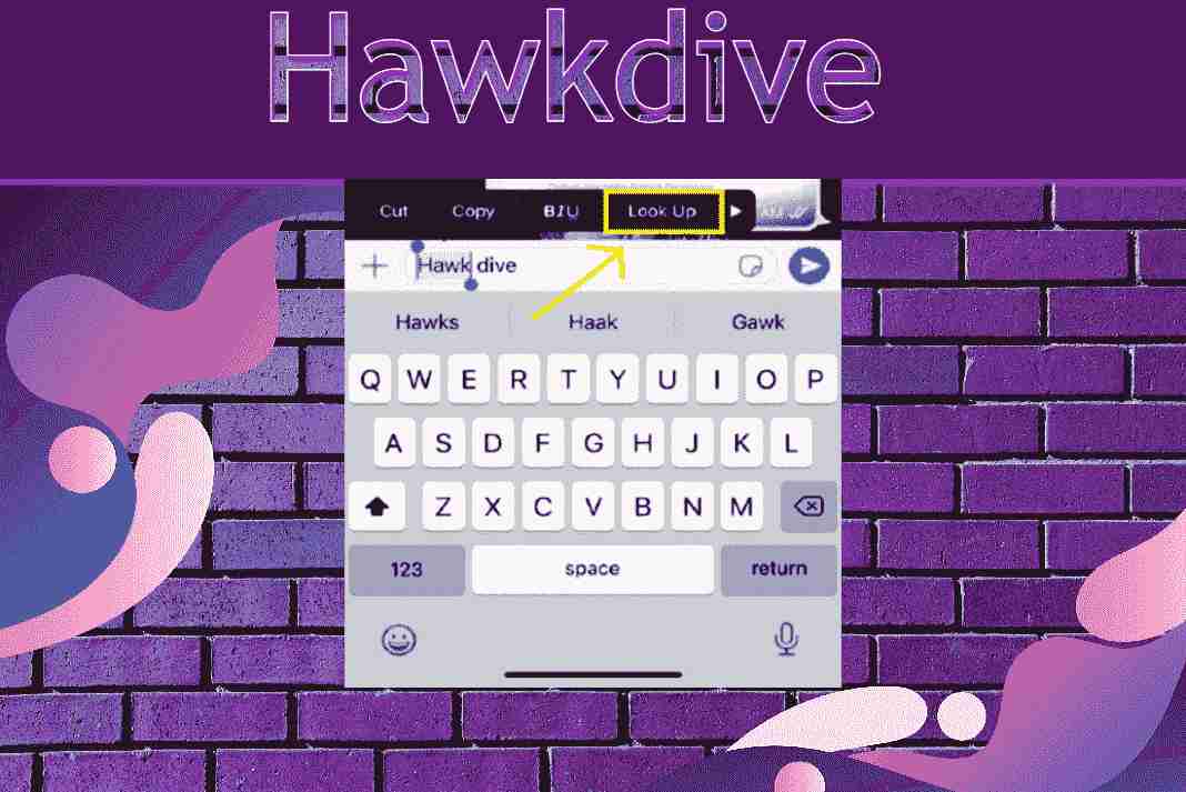 How To Use IPhone Built in Dictionary Hawkdive